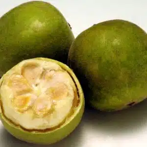 Monk fruit allulose 10 sweetener golden stevia