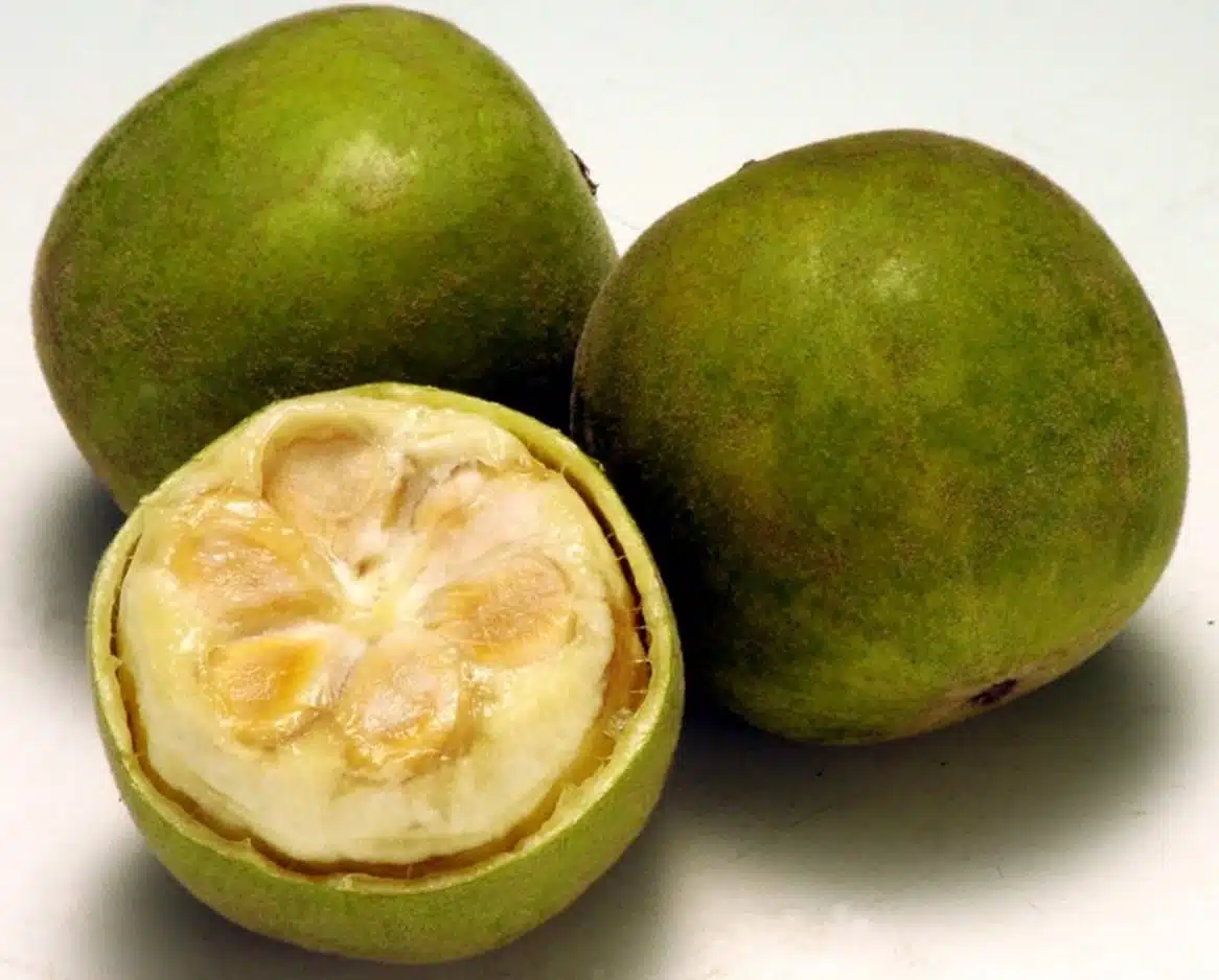 Monk fruit allulose 10 sweetener golden stevia Monk fruit allulose 10 sweetener golden stevia