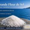 GUÉRANDE FLEUR DE SEL Salzblume Premium Meersalz