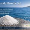Guérande Fleur de Sel Salt Flower premium mineral rich sea salt on stone by ocean Golden Stevia